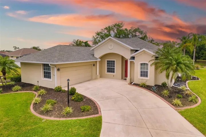 at low water, but see the birds feeding