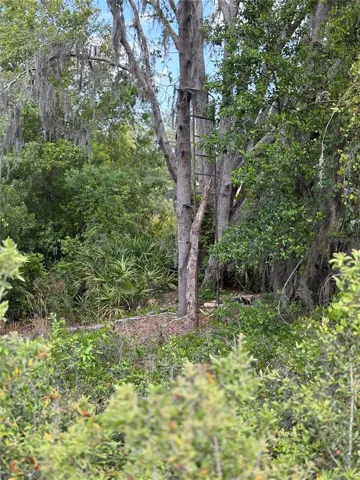 NNW Canopy Pond Area
