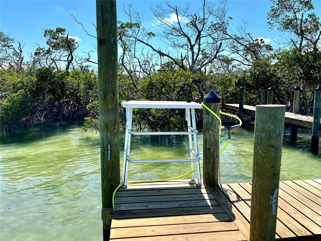 Fish cleaning station