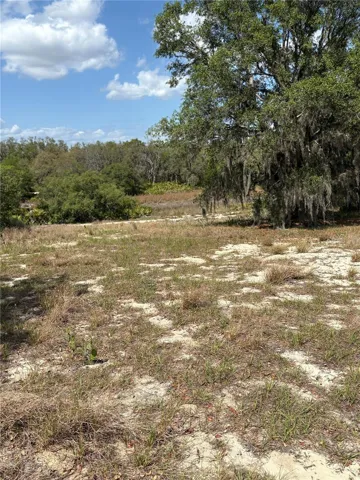 NE View