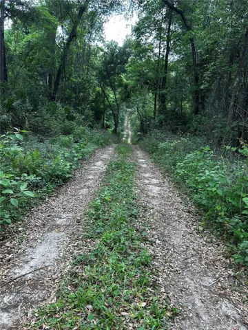 Road to Property