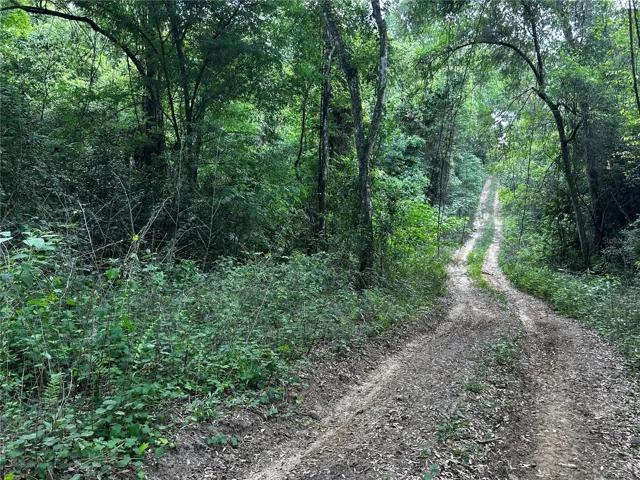 Road down the hill