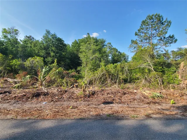 View of front of the lot