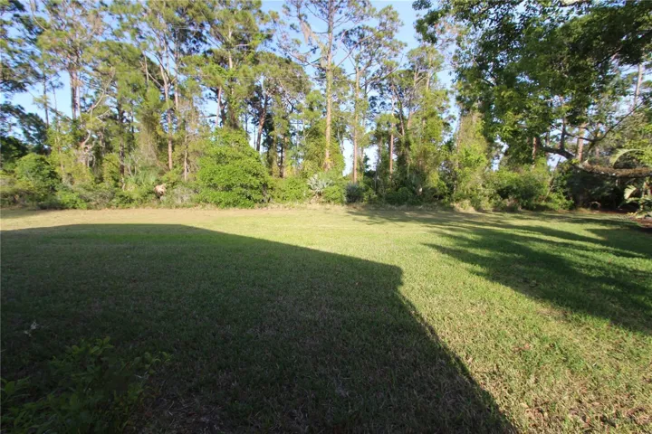 Back of home