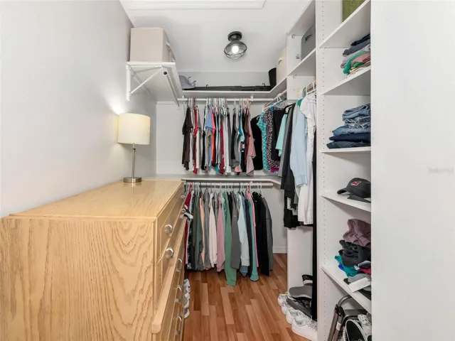 Primary Closet