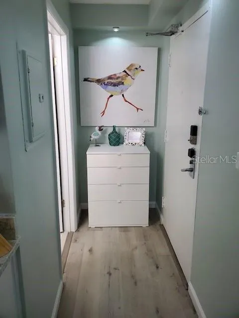 Hallway from Living Area  to Bathroom/Front Door
