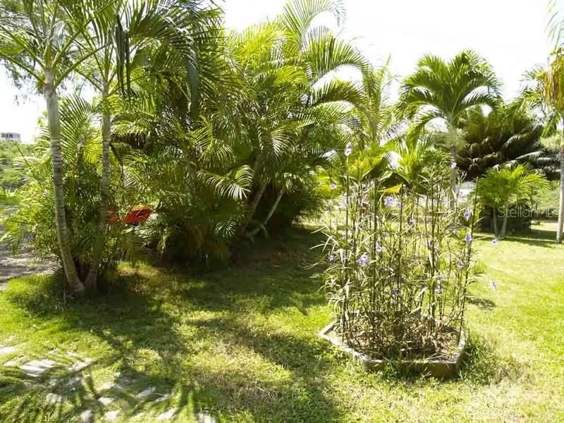 Grounds