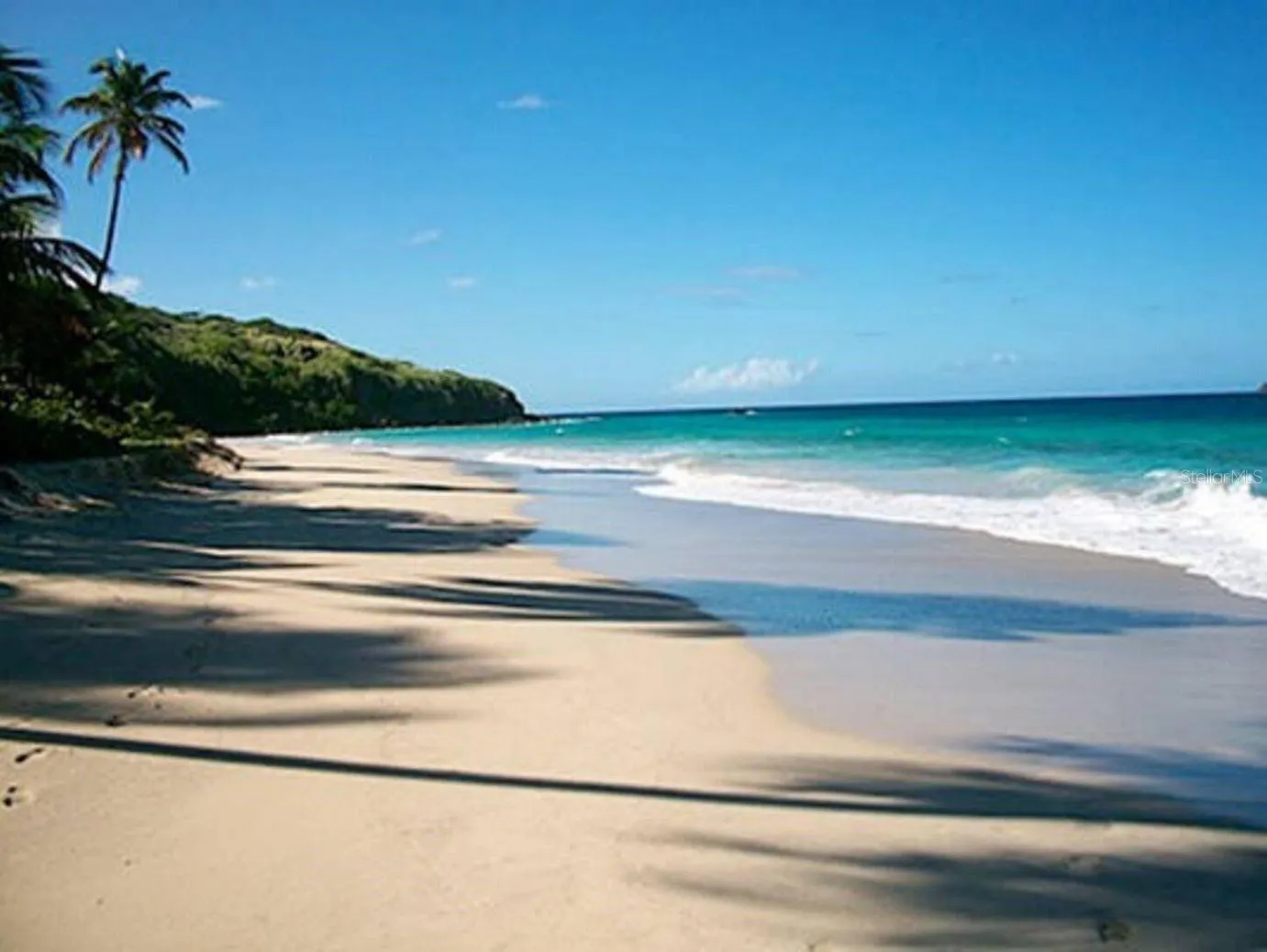 Zoni Beach