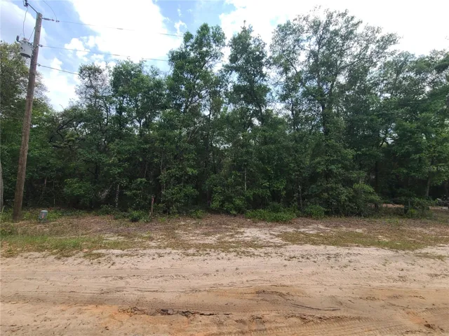 view of land