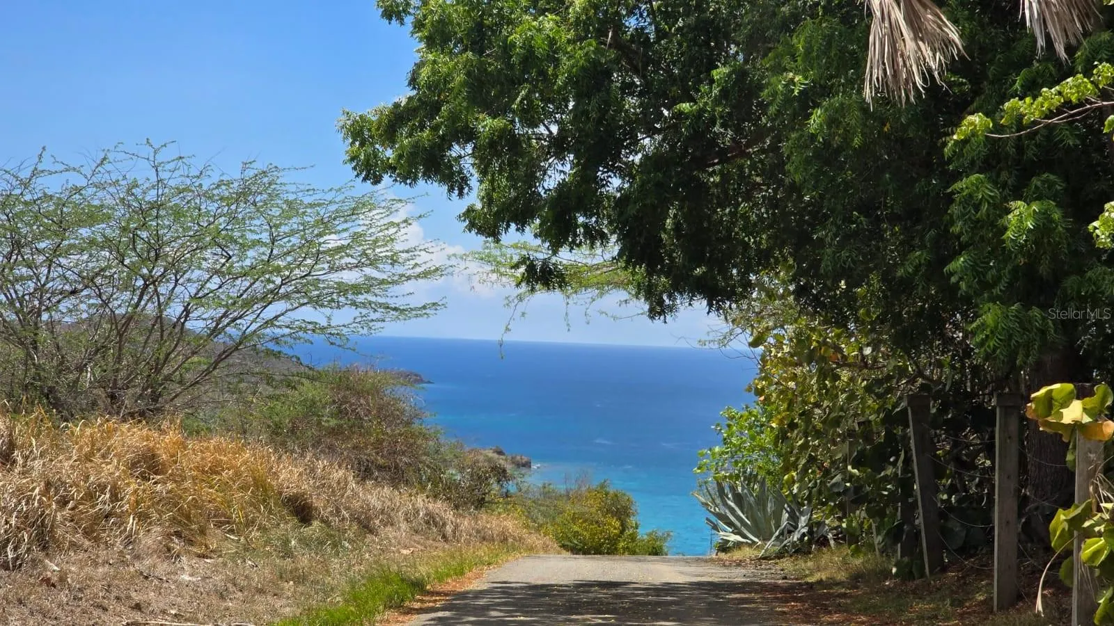 Road to Property