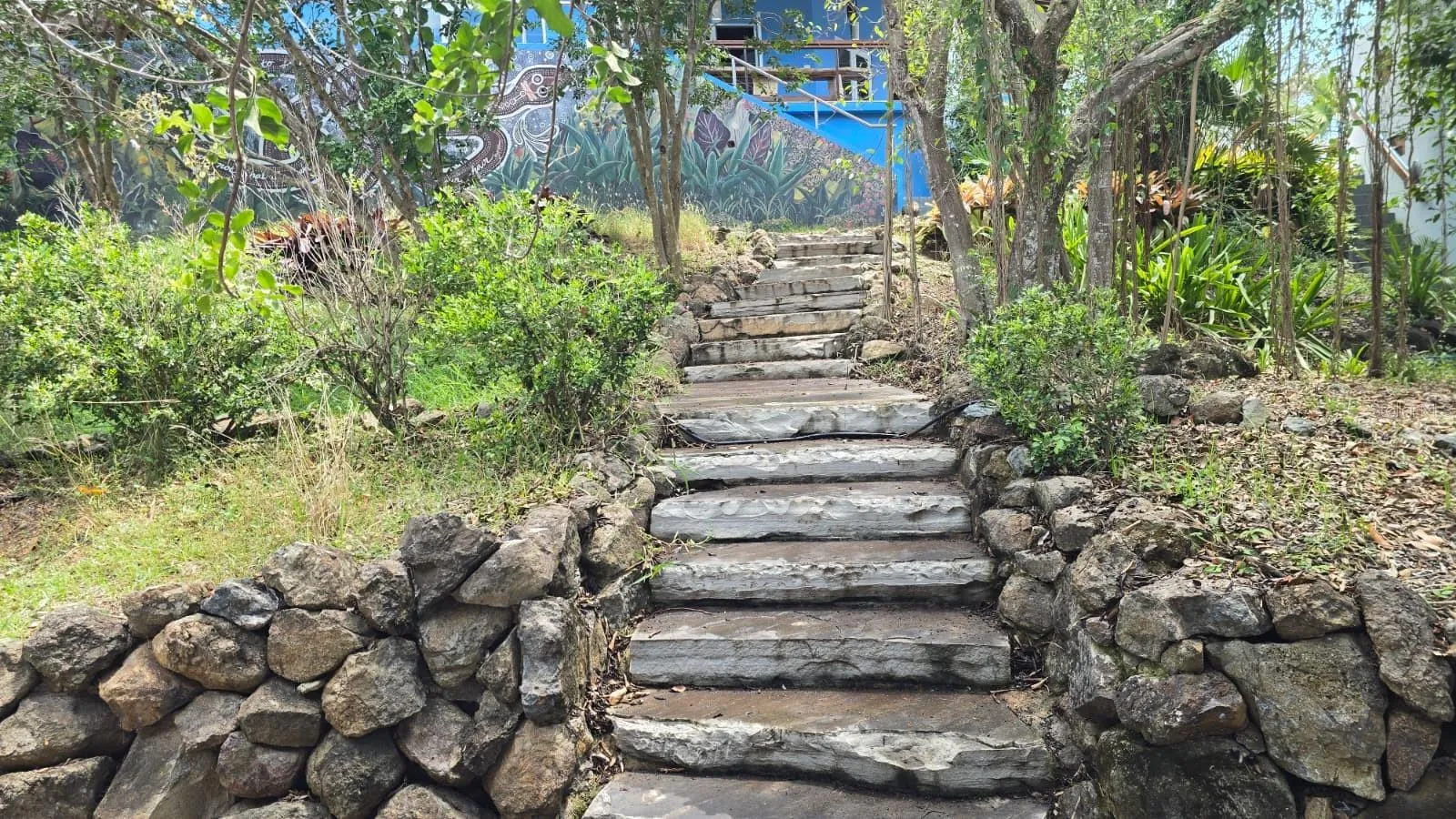 Steps to Chicken Coop