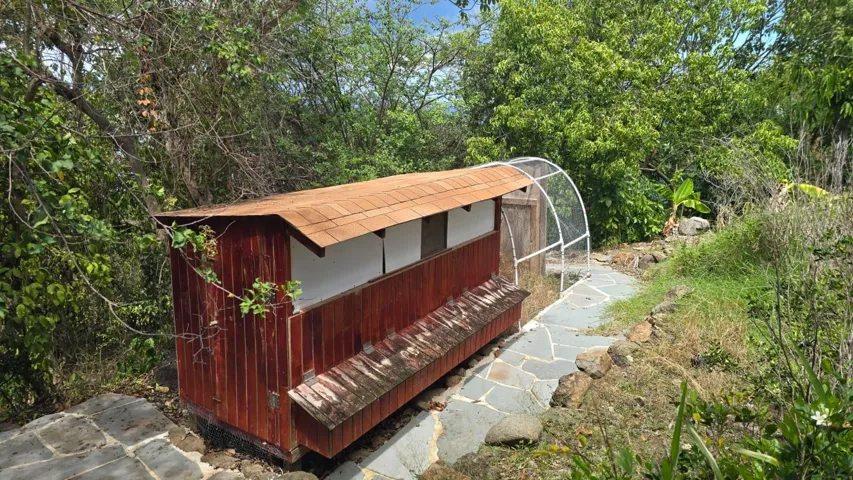 Chicken Coop