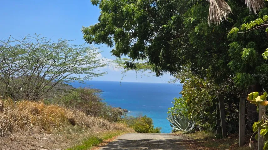 Road to Property