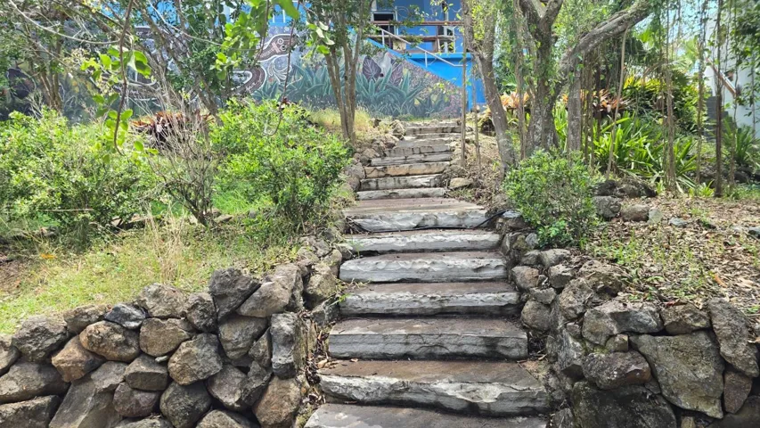 Steps to Chicken Coop