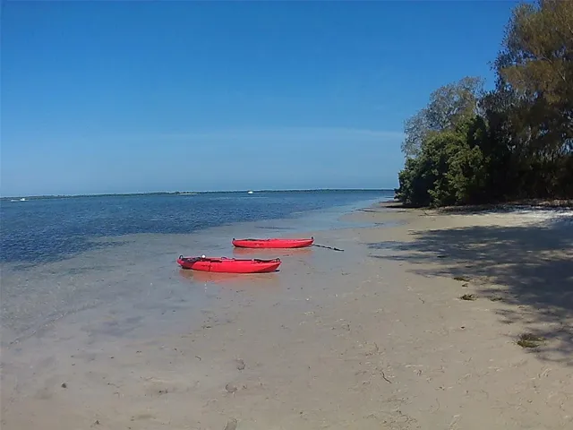 Kayak out to one of the islands from The Dunedin Marina