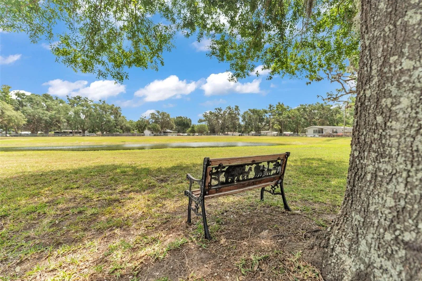 8904 Carrolwood Dr, Lakeland, Florida 33810 — photo 54
