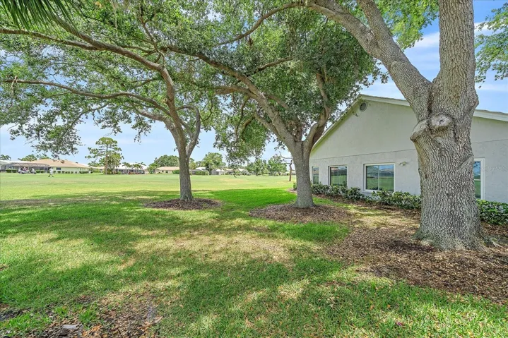 Yard View