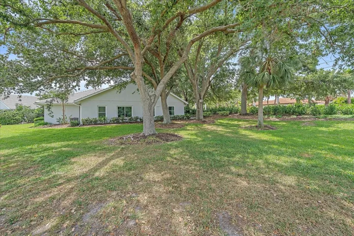 Partial View of Yard