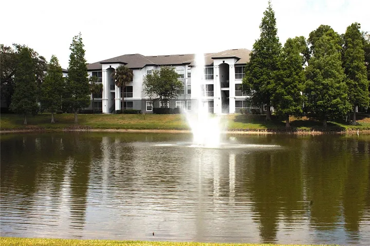 Pond