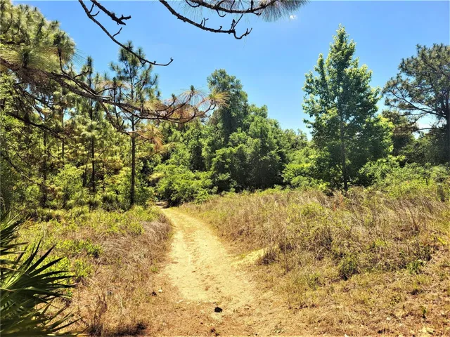 PRIVATE DRIVEWAY ON LOT 81