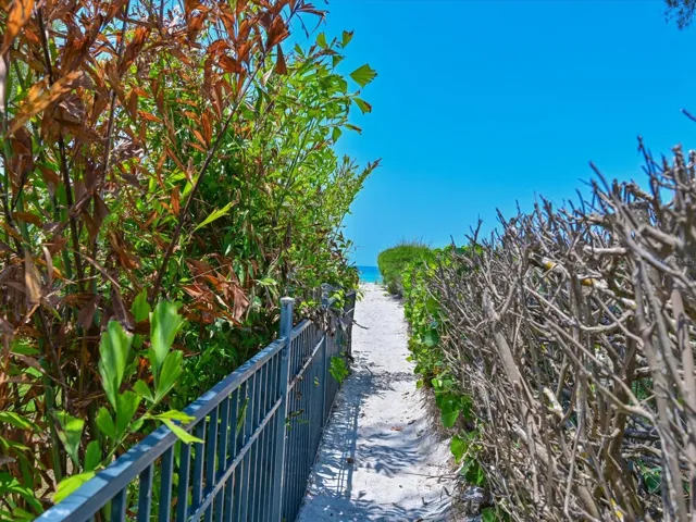 Beach Path