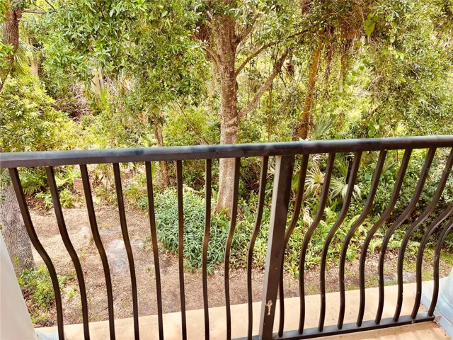 Private back balcony view of the preserve