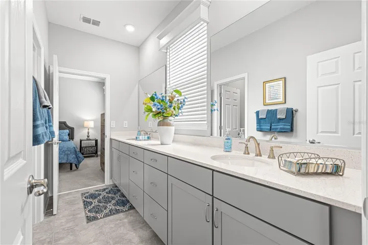 Jack and Jill Bathroom