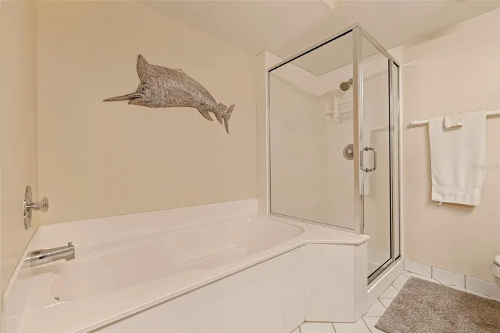 Soaking tub and separate shower in master bath