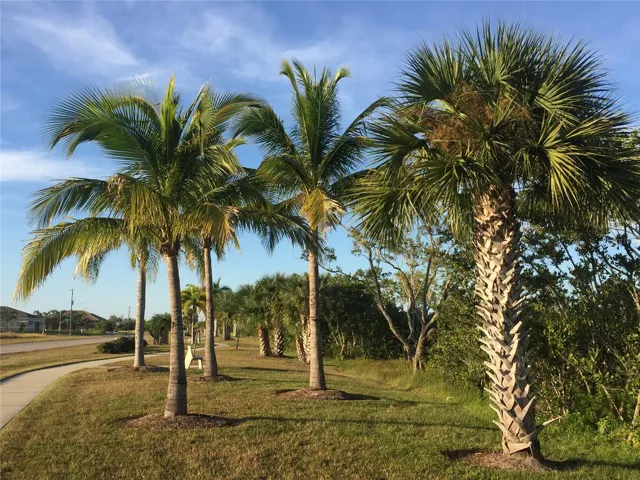 Linear Park
