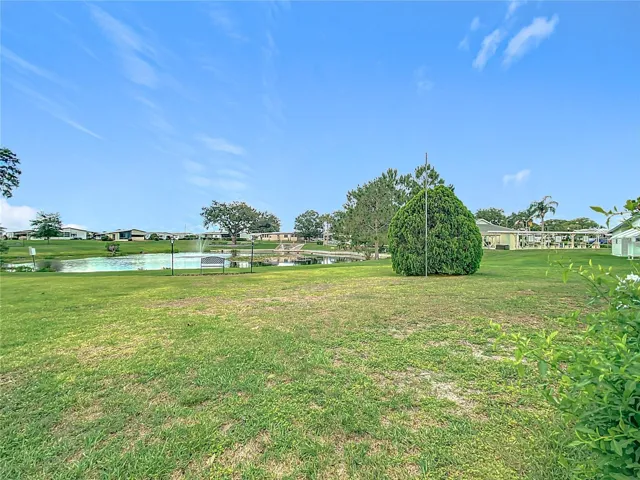 Large backyard