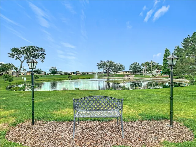 Backyard to enjoy the view