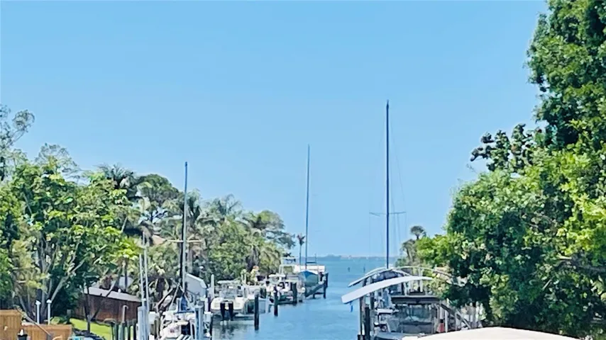 Sarasota Bay - minutes away