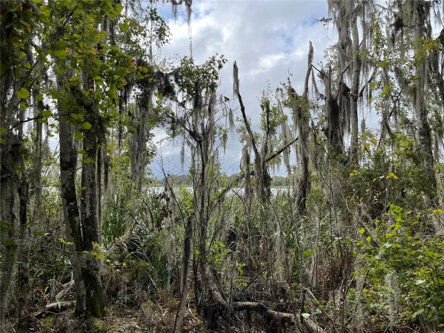 A two story home may be able to see the closest lake with some clearing