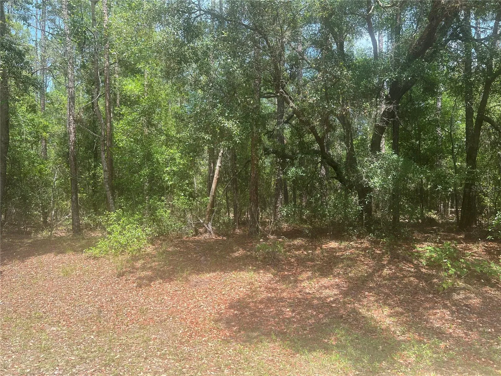 Approximate location of lot