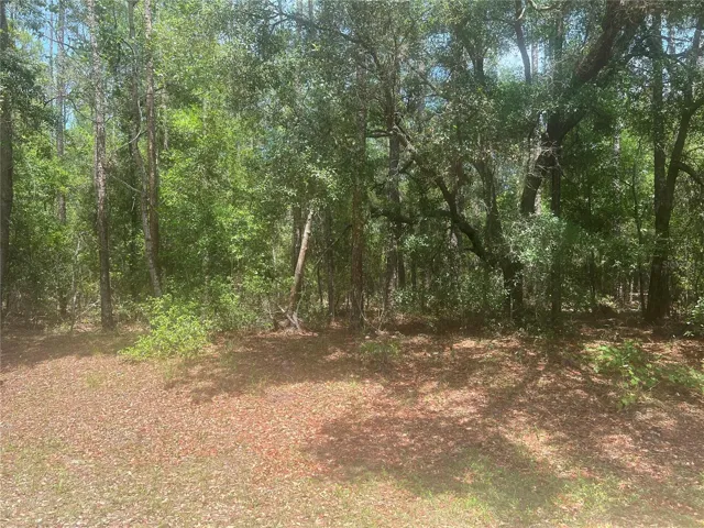 Approximate location of lot