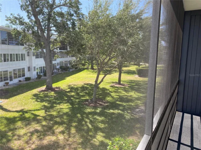 View from Porch
