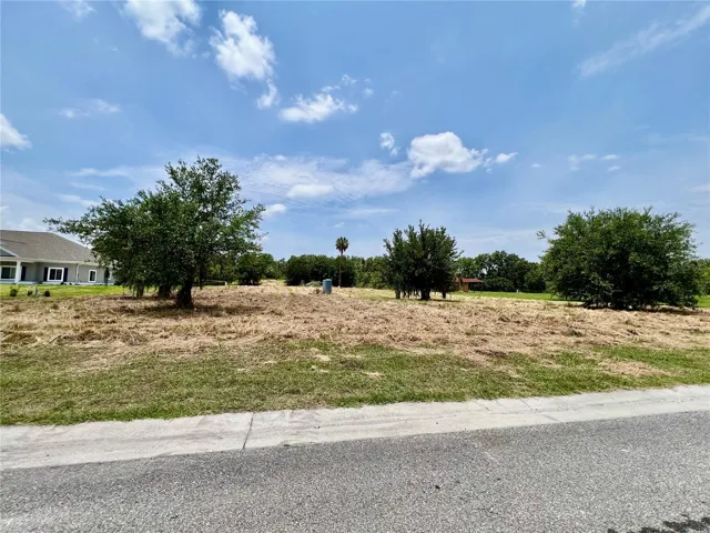 Front of property on FishHawk Heights Run after lawn maintenance