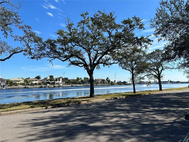 View from front yard.