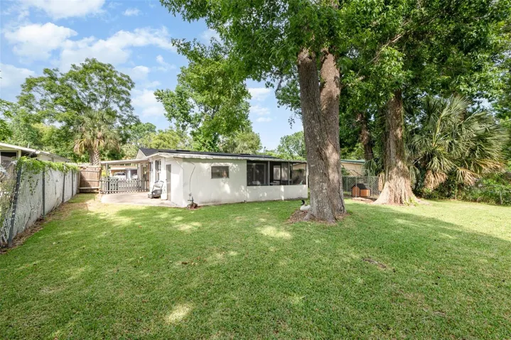 Roomy Back Yard
