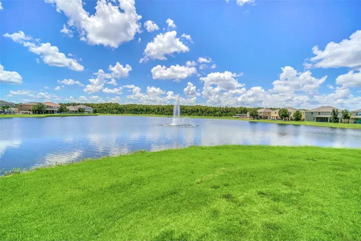 Community Pond