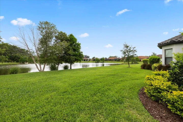 backyard view