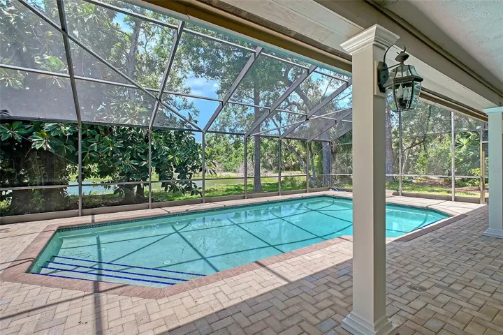 Spacious paver pool area with lake and preserve behind