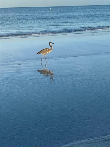 Within 1 mile to beach