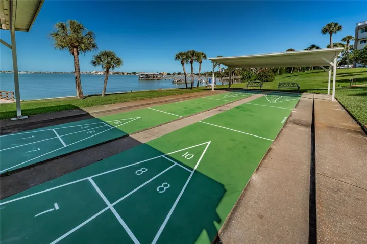 Picnic Shuffle boardwith a view