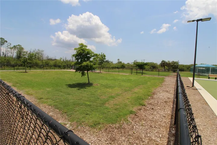 Dog Park