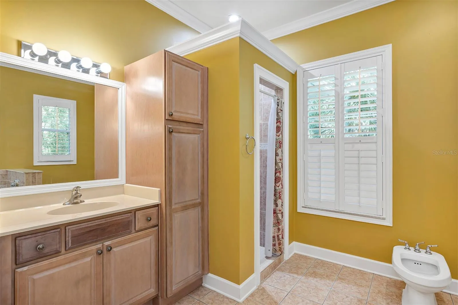 914 Elysium Blvd, Mount Dora, Florida 32757, 4 Bedrooms Bedrooms, ,5 BathroomsBathrooms,Residential,For Sale,ELYSIUM,O6313174