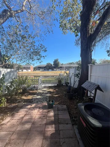 Back fence area
