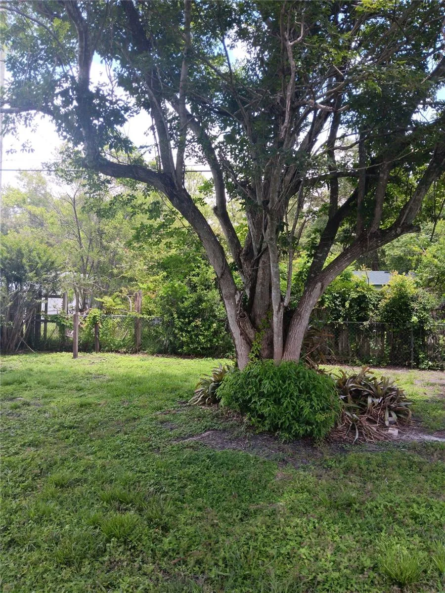 Center of backyard