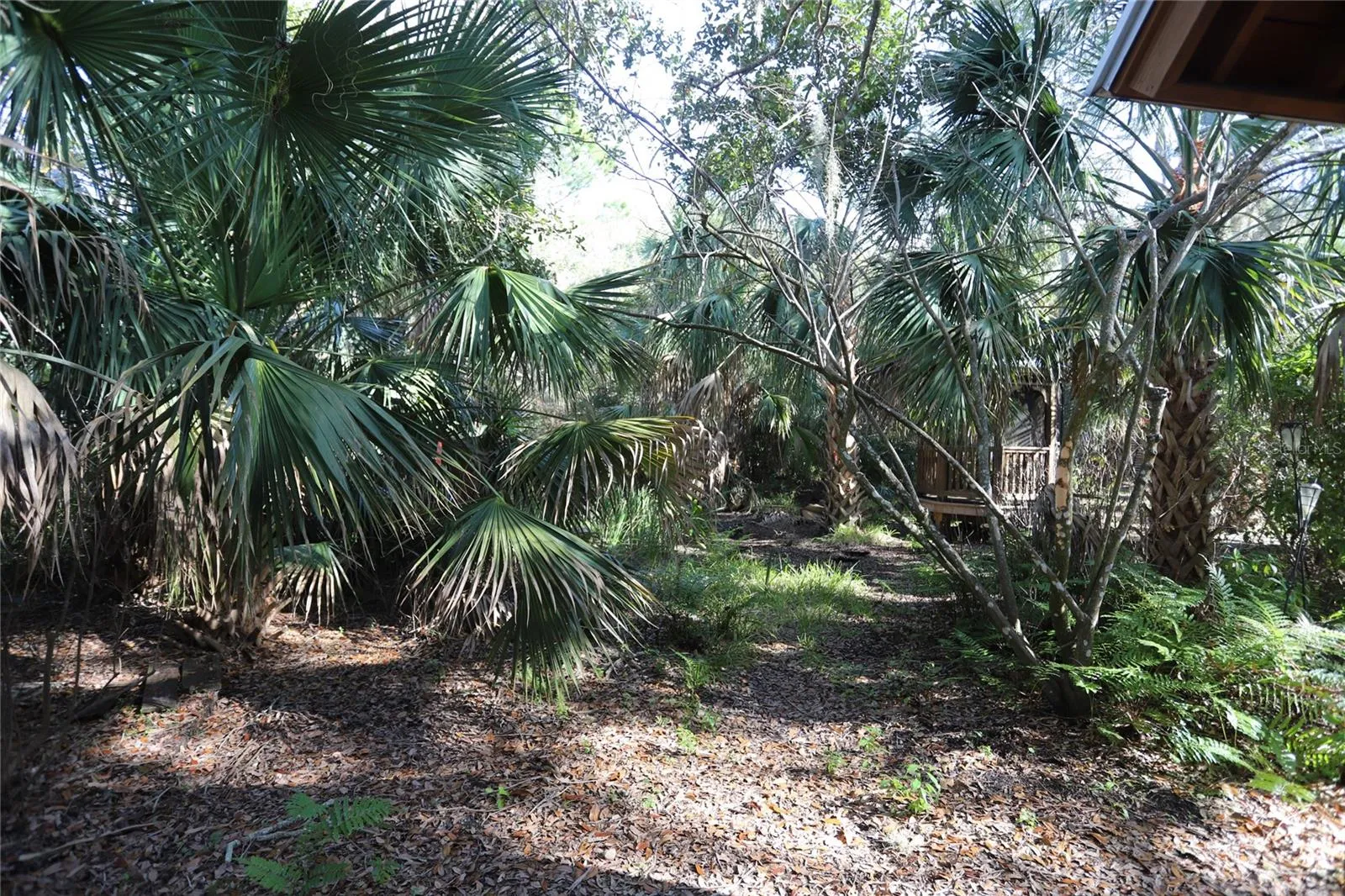 Rear yard