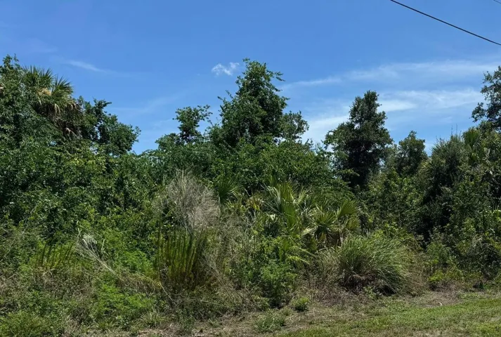 VACANT LAND